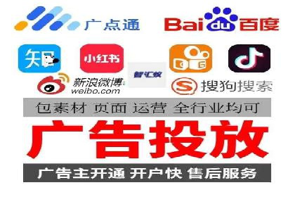 短视频平台的SEM推广实践与效果